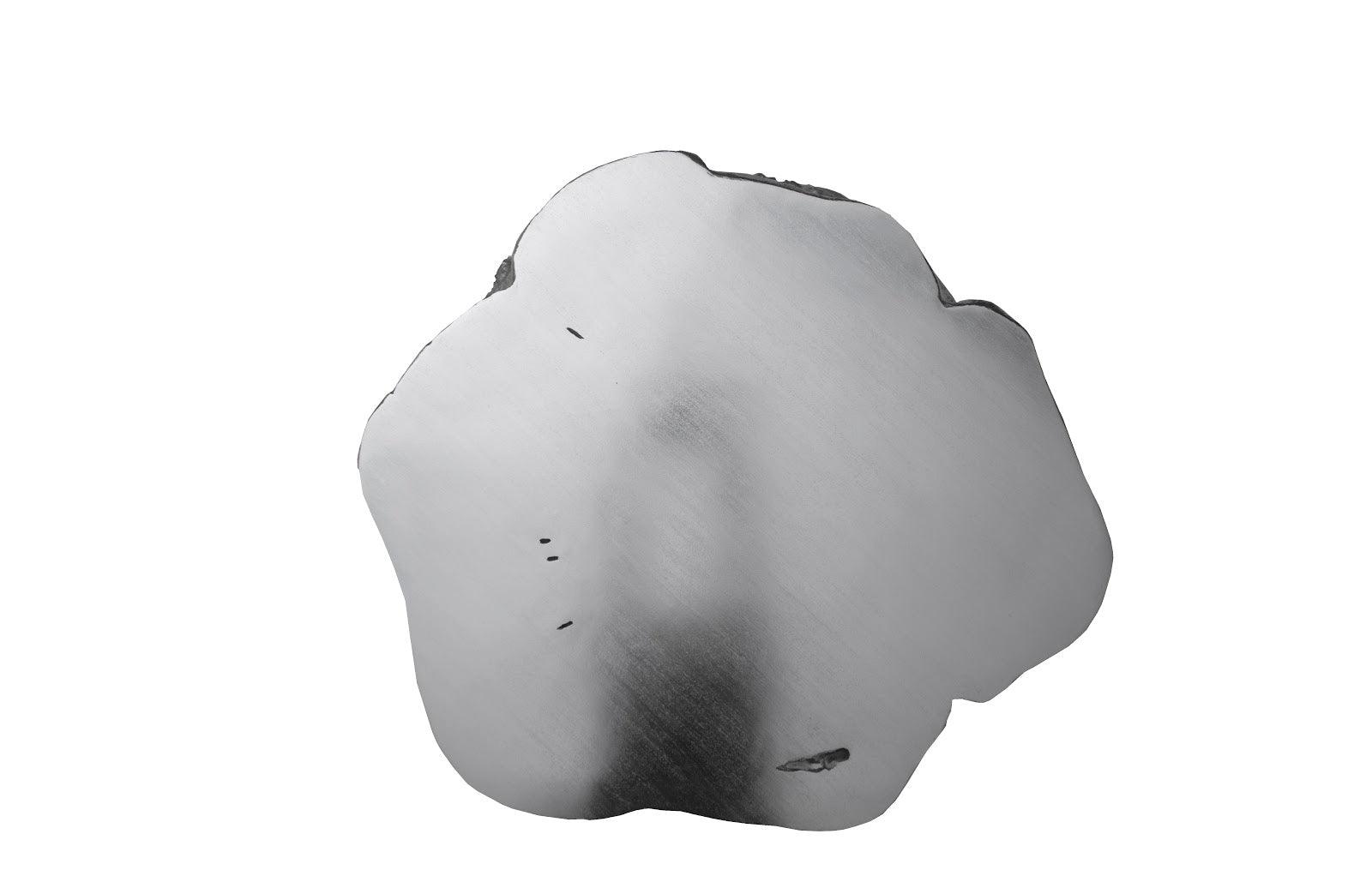 Log Coffee Table Silver Leaf Violet Blackhaw