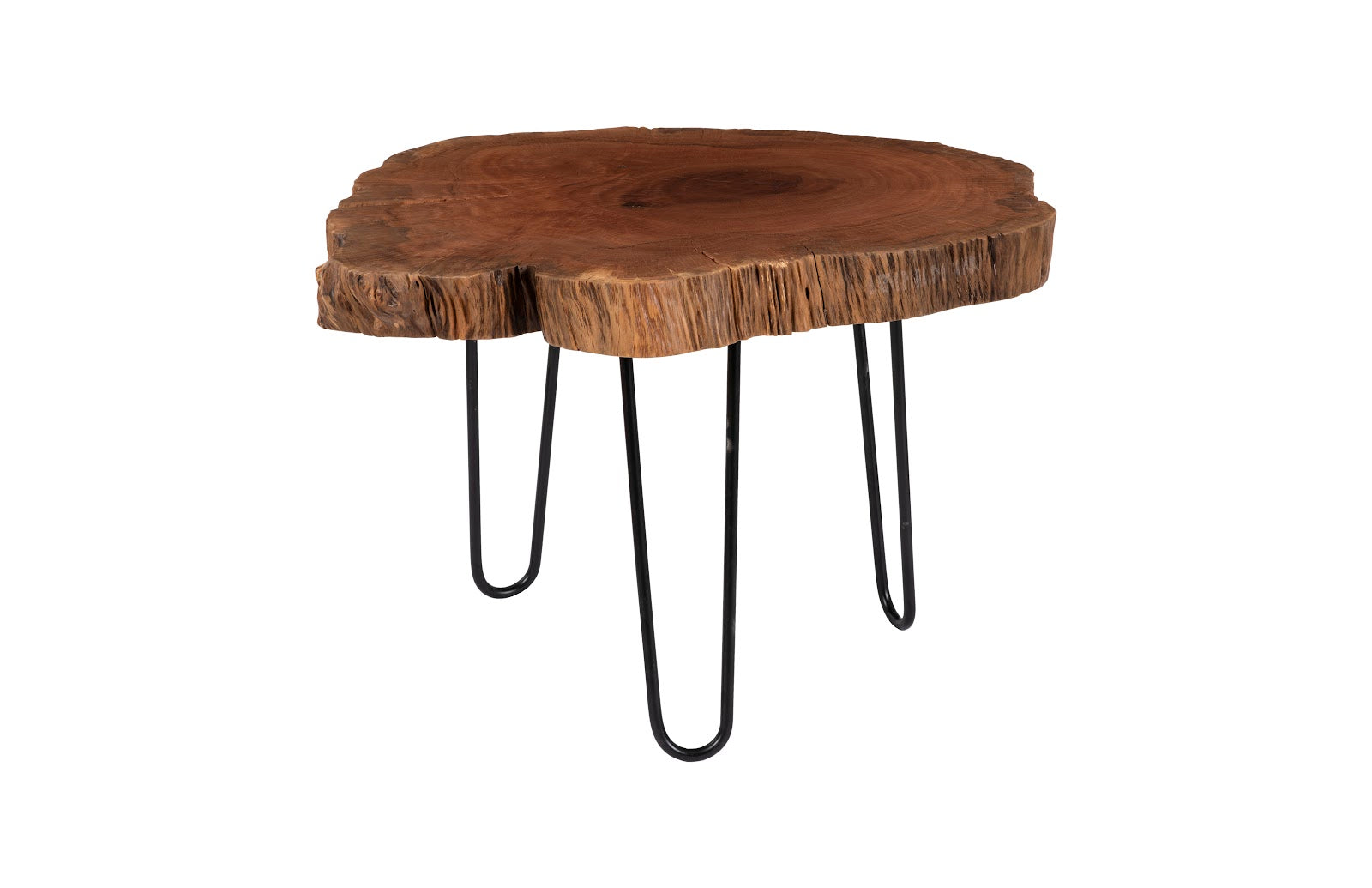 Burled Coffee Table, Black Metal Legs, Small Violet Blackhaw